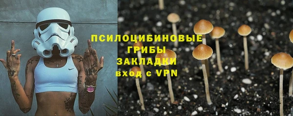 герыч Алексин